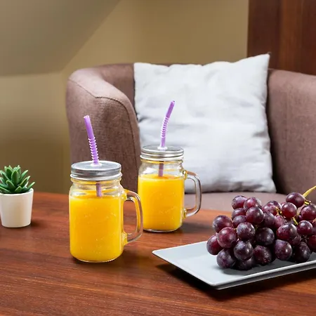 Sloneczny Stok Apartment Miedzybrodzie Zywieckie