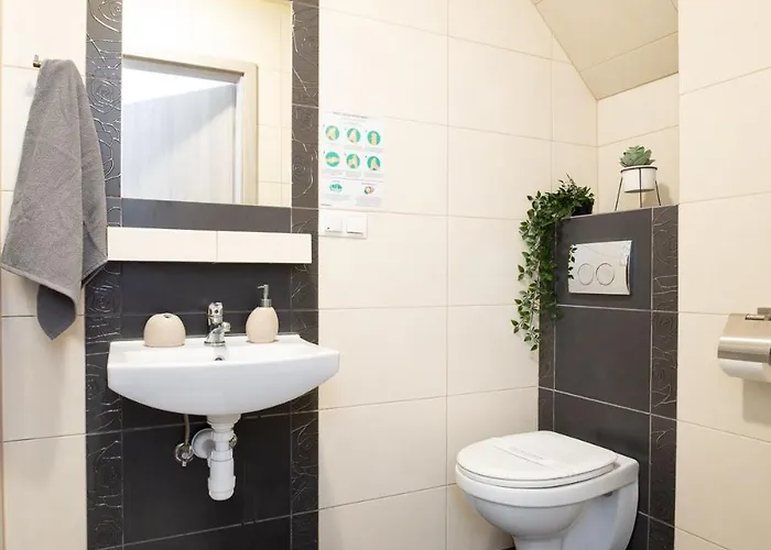 Sloneczny Stok Apartment Miedzybrodzie Zywieckie