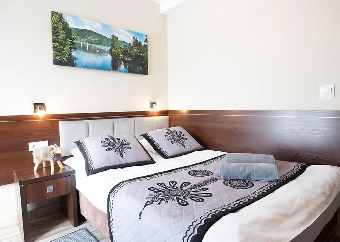 Sloneczny Stok Apartment Miedzybrodzie Zywieckie